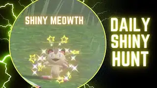 How to catch Shiny Meowth (looking for Shiny Ditto) - Daily Shiny Hunt