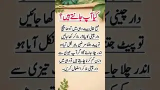 Islamic Drafts, islamic video, islamic shorts,islamic facts, islamic melodies, power of islam