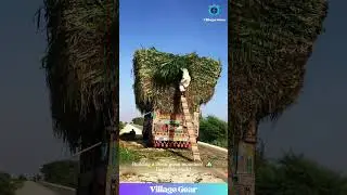 THIS Truck is Carrying a MOUNTAIN of Grass! 🤯 Watch the CRAZY Loading Skills! #truck #farming