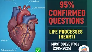 Practice Questions of Biology (Life Processes ) || Chapter-1st || by: Rohan Sir #science #biology