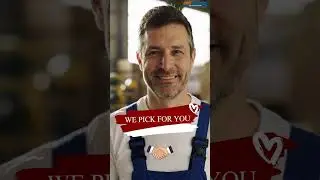 Packing Made Easy with CBD Movers NZ | Stress-Free Moves Start Here