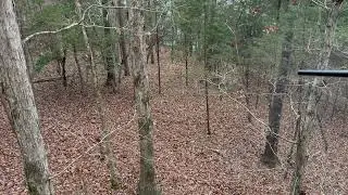 2025 Tn gun season public land success