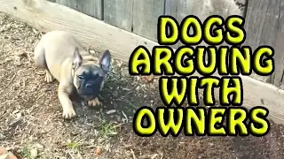 Dogs Arguing With Their Owners 2017 [NEW]