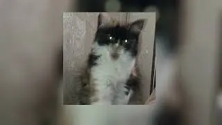 Jennifer Lopez - Play ( sped up )