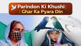 Parindon Ki Khushi 🕊️ | Ghar Ka Pyara Routine | Ali Ki Shaam | Daily Vlog     Ali and Mom Vilog