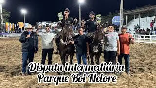 DISPUTA CATEGORIA INTERMEDIÁRIA, PARQUE BOI NELORE CAMPEONATO PORTAL 2026