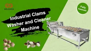 Industrial Clams Washing and Cleaning Machine/Stainless Steel Clams Washer and Cleaner