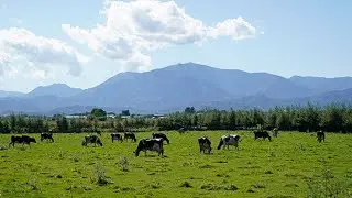 Countryside Stay Japan［Obihiro/Hokkaido］