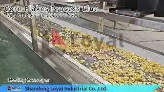 Corn Flakes Breakfast Cereal Making Process Line Flake Grain Production Machines Plant