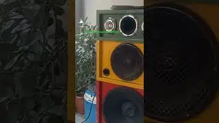Cacetada bonita  vocal dub Brown #melhoresreggae #reggaepedra #nonatopedra #remix