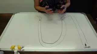 The Loop of Henle