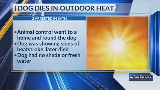 Dog left outside dies due to extreme heat; bath couple arrested