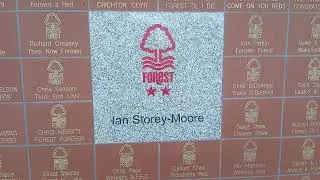 Nottingham forest short