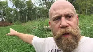 poor mans way of maintaining clover food plots and switch grass