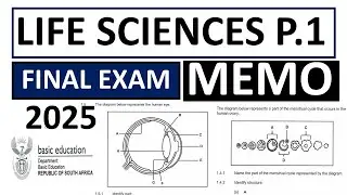 MEMO 2025 LIFE SCIENCES  P.1 GRADE 12 JUNE EXAMS PAPER 1 [THUNDEREDUC] GRADE 12  P.1 BY M.SAIDI