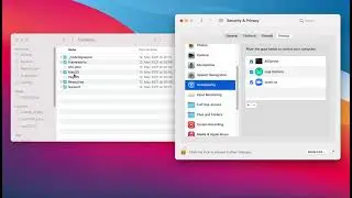 Enable Logitech Options Permissions in macOS