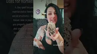 Hornets and Wasp Nest In Baneful Magick !