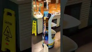 Hospitality Robot in Cosmo, Reading #robot #reading