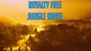 Royalty Free Jungle Noise