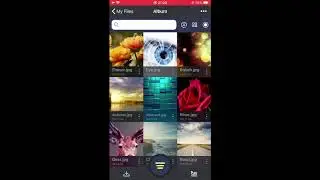 Sharing File via AirDrop on SPVC & X-File Manager
