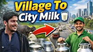 From Village to City : How Fresh Milk Reaches Your Home