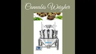 0.3L 16 Head Multihead Weigher
