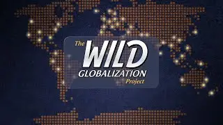 The Wild Globalization Project Overview |  Provocative Statement