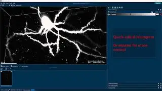 [Quick Tips] Interacting with 3D images
