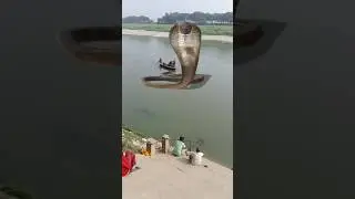 attack for 😱⚡😱💥🤔🤔💥🪱#nagin#sharp#tranding #shortvideo