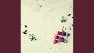 Inspiring Backdrops for Dinner Party