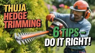 ❌ Cutting Your Thuja Hedge These 6 Mistakes Will Kill Your Green &ndash; Here&rsquo;s How to Get it Right!