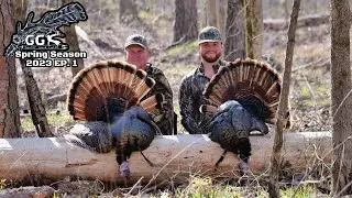 Turkey Hunting/Early Season Hens And Hunting Pressure
