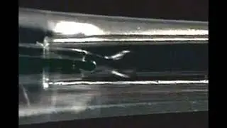Double Emulsion Formation in a Multibarrel Microfluidic Droplet Generator
