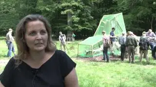 Eghjorten er tilbage i Danmark