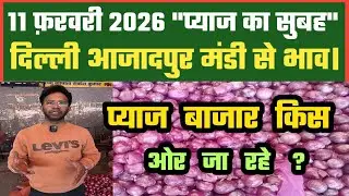 प्याज के बाजारों में सुधार ? Azadpur Delhi Mandi Today में 11-02-2026 के Onion Price DMT TV
