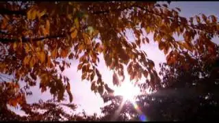 Valkenburg aan de Geul - Regiofilm VVV Zuid-Limburg