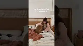 Усыновление пожилых собак наполнило мою жизнь смыслом 🫶🏻 #усыновлениестаршейсобаки #старшаясобака