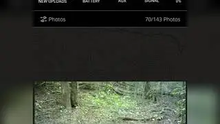 the new manifest muddy cell camera is amazing.