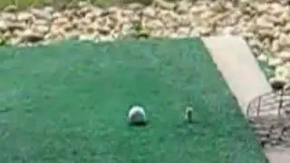 golf #2 rangeeee