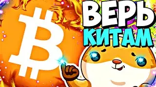 💎 ВЕРИТЬ МОЖНО ТОЛЬКО КИТАМ. ИХ ДЕЙСТВИЯ - ГРААЛЬ. BTC КРИПТОВАЛЮТА