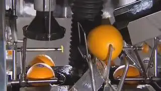SANTOS Automatic Orange Juicer