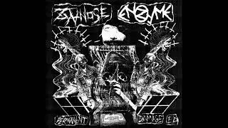 Zyanose/Enzyme - Permament Damage EP