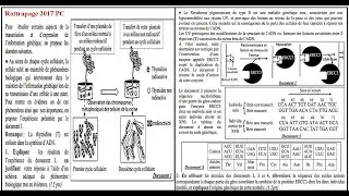 Information génétique: Rattrapage 2017 PC