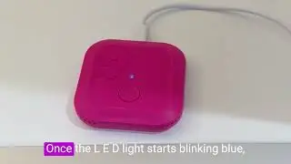 Руководство по настройке Octopus Home Mini