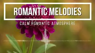 🎵 Romantic Music – Vol. 057 | 🍷 Velvet Night | Silver Moon & Tender Sighs