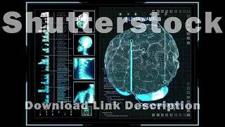 2 Package human anatomy Stock Footage in Shutterstock  2in1 too cheap video