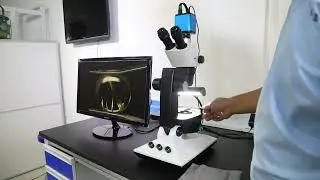 Swing arm type stereoscopic gemstone microscope FGM R6S 171T