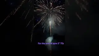2&rdquo; 72s For The Love of Pyro 🧨 #bigbore #fireworks #disney #macys #pyrotechnica #newyearseve