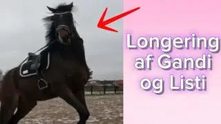 Longering af Gandi og Listi!