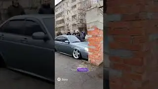 Против кирпичной стены тг канал:  